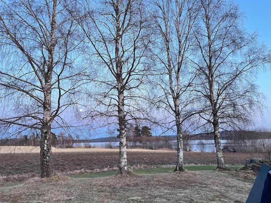Lake Lodge Roennaes Leksand Eksteriør bilde
